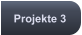 Projekte 3