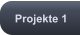 Projekte 1